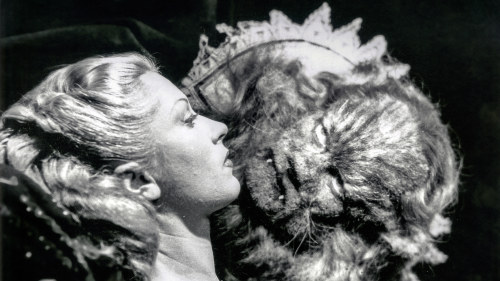 cum kasvot galleriat