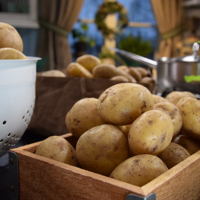 Vintage homo porno tähti