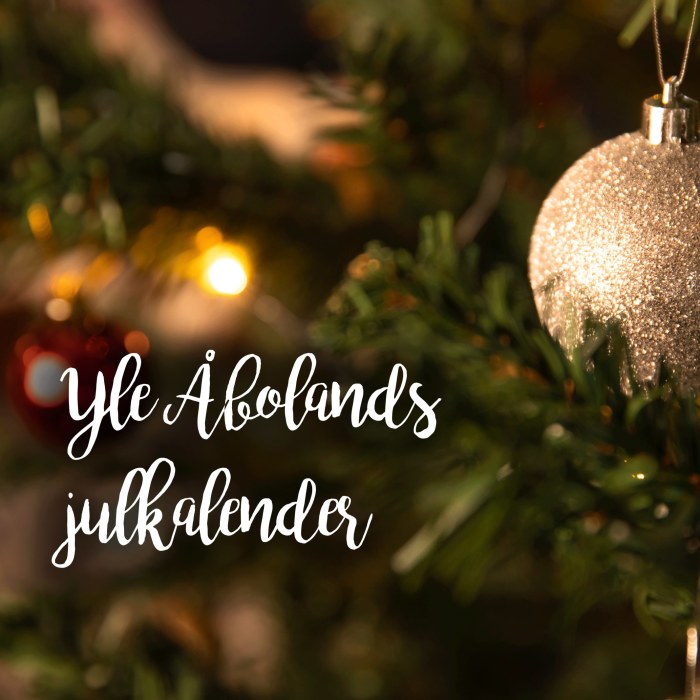 Joulukalenteri Jaatava Seikkailu Kuin Olisi Palannut Kotiin Korvatunturille Yle Tv2 Yle Fi