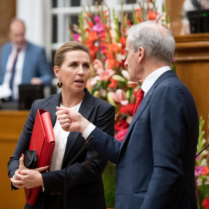 I Danmark får finlandssvenska Lotta högre lön för samma jobb