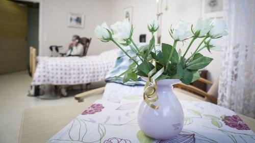 terminalvård palliativ vård terminalvård palliativ vård