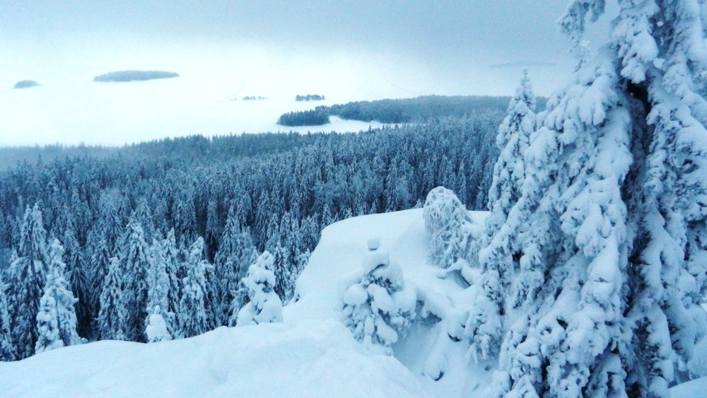 Kolin talvimaisema