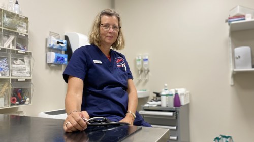 Veterinärerna jobbar och sliter men är ändå för få u2013 djurägare 