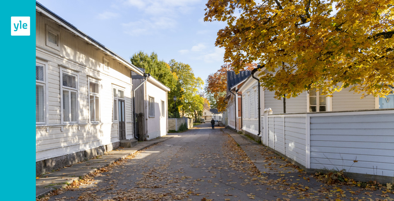 Hur ska en stad utvecklas utan att värdefulla områden förstörs? Raseborg ska inte bli en stagnerad miljö, säger stadsarkitekten - Vimarsana News
