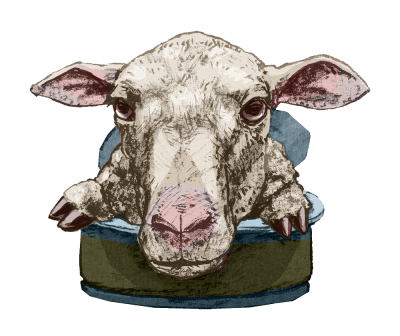 Piirroskuva lampaasta kurkistamassa ulos avonaisessa säilykepurkissa