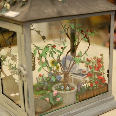 Växthus i miniatyr