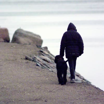 Människa på promenad med hund.