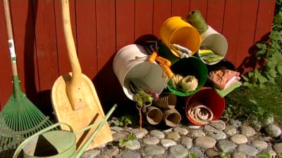 Hylla av konservburkar
