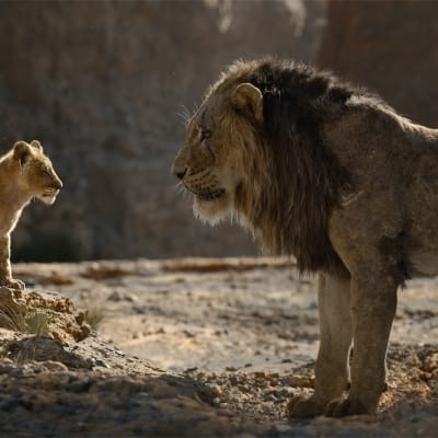 Still-kuva elokuvasta Leijonakuningas.