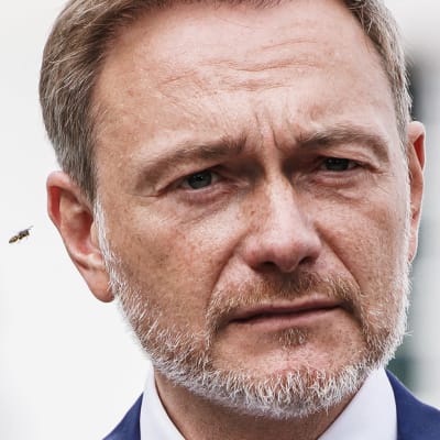 Lähikuva Christian Lindnerin kasvoista. Ampiainen lentää Lindnerin korvan vieressä.