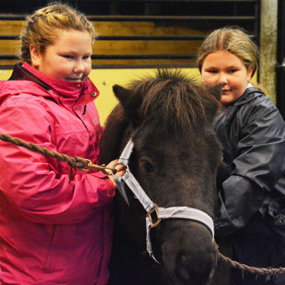 Två flickor står på var sida om en svart ponny.
