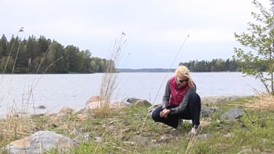 Angelica Heldt plockar stenar på stranden