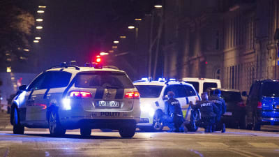 dansk polis griper gärningsman