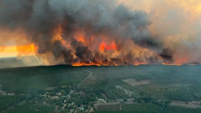 Stor skogsbrand hotar hus i närheten av Bordeaux.