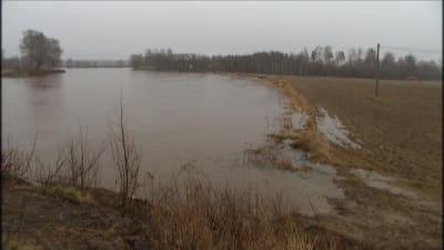 Översvämning vid Båskas i Korsholm