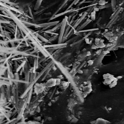 Asbestia mikroskoopista katsottuna.