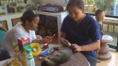 sterilisering av katt på köksbord i Bali.