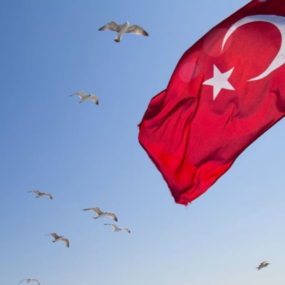 Turkiets flagga mot en blå himmel med fåglar som flyger.