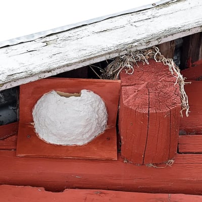 En fågelholk för hussvalor byggd av betong och rödmåladfanér. Fågelholken är uppspikad på en röd yttervägg av stock under takskägget.