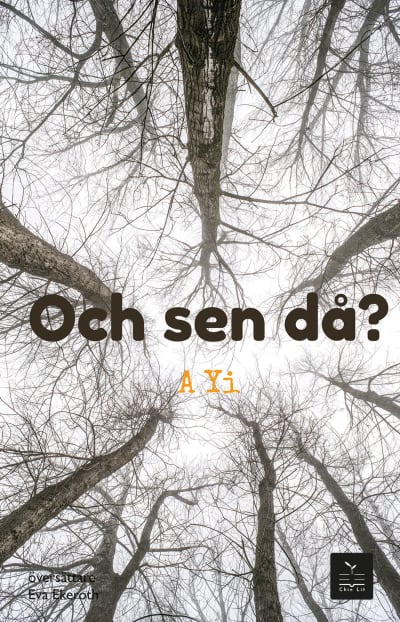 Pärmbild till A Yis kriminalroman "Och sen då?".