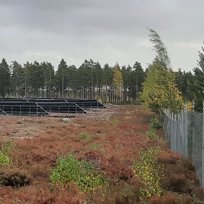 Solpanelervid Östra industriområdet i Hangö invid Fermions fabrik.