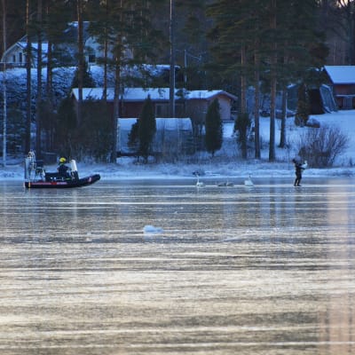 Till vänster syns en person som kör en hydrokopter på isen. I mitten finns fastfrusna svanar och till höger är en person som bär en svan. I bakgrunden syns stranden med träd och hus.