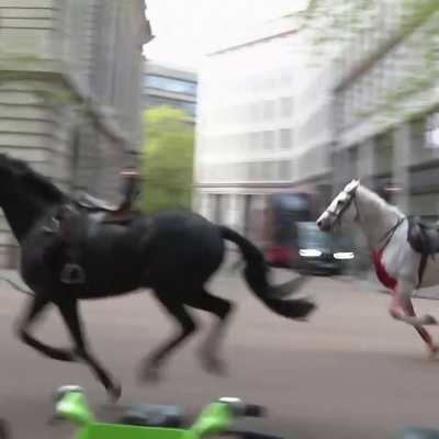 En svart  och en vit häst med sadlar och lösa tyglar galopperar längs en gata i London. 