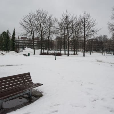 Maria Jotunin puiston alue Kuopiossa.