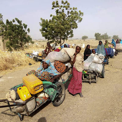 Säkerhetsstyrkor räddade i januari 700 människor som hade kidnappats av Boko Haram