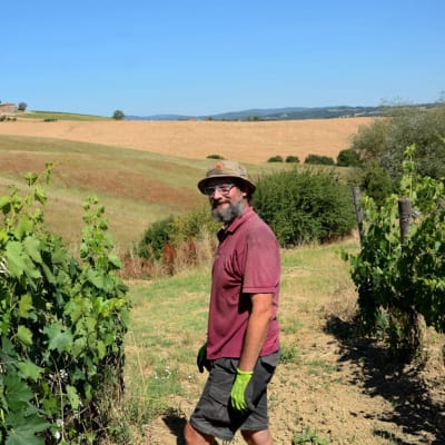 En anställd på vingården Paradiso Di Frassina i Toscana, Italien.
