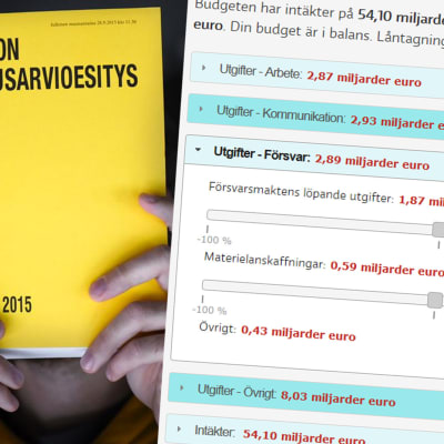 Bild på budgetspelet