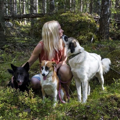 Elisa Aaltola kesäisessä metsässä kolmen koiransa kanssa.