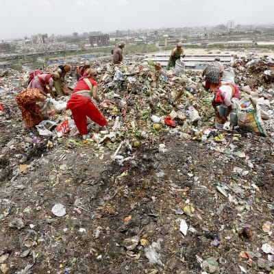 Naiset keräsivät ja erottelivat roskia ja lumppuja kaatopaikalla Gazipurissa New Delhissä 15. kesäkuuta 2013.