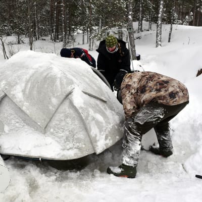 Kolme ihmistä saimaannorpan keinopesän ympärillä. Ympärillä näkyy metsää ja lunta.