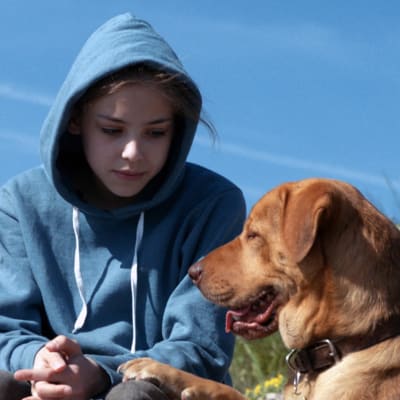 Lili (Zsófia Psotta) ja hänen koiransa Hagen elokuvassa Valkoinen jumala