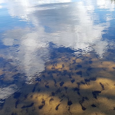 Kutilanlahti
