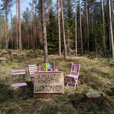 Vaaleanpunaisia tuoleja ja pöytä metsässä. Pöydän edessä mainoskyltti.