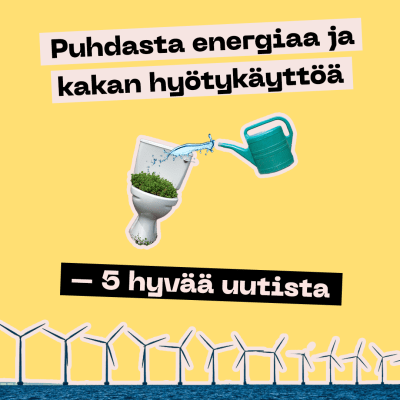 Kastelukannu kastelee vessanpönttöä, josta kasvaa kasveja. 