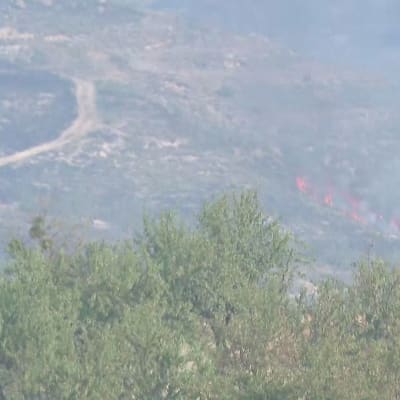 Skogsbrand i Spanien.