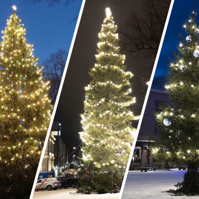 Neljä suurta joulukuusta eri kaupungeista laitettuna samaan kuvaan.