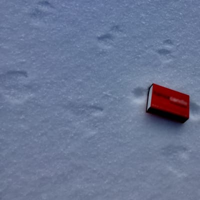 Djurspår i snö med en röd tändsticksask bredvid.
