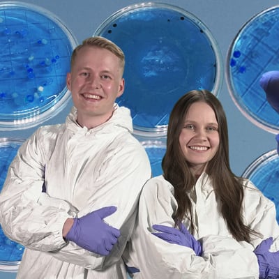 Niklas och Laura poserar i skyddsdräkter framför agarplattor med odlingar av mikrober, bredvid dem finns även en hand som håller i en agarplatta.