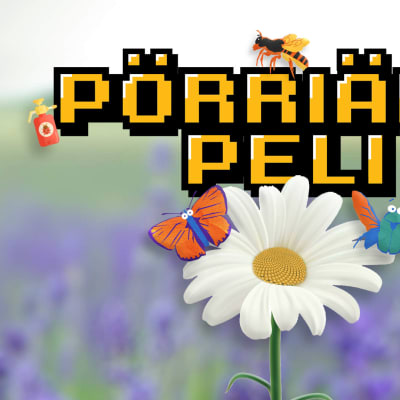 Pörriäispelin otsikkokuva