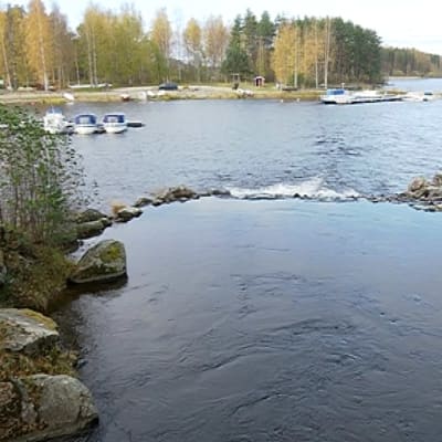 Satama-alue, jossa veneitä ja järvimaisema.