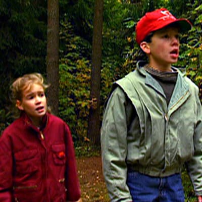 Kultainen salama oli nuorten seikkailusarjan tv-ohjaus vuodelta 1994.