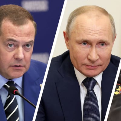Dmitri Medvedev, Vladimir Putin ja Sergei Šoigu
