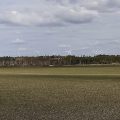 Åker, skog och vindkraftverk i bakgrunden.
