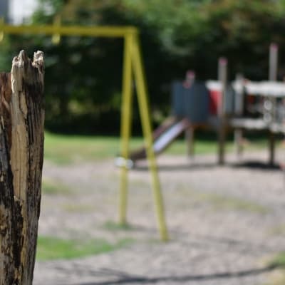 En stubbe i förgrunden och klätterställning och gungställning i bakgrunden.