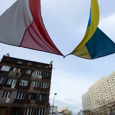 Polens och Ukrainas flagga vajar mot en blå himmel. I bakgrunden finns flervåningshus i Warszawa.