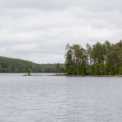 Maisema Lentua-järven rannalta Kuhmosta.
